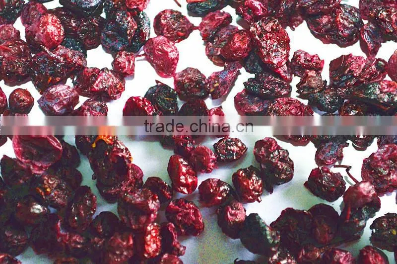 industrial microwave vacuum tomato paste drying machines
