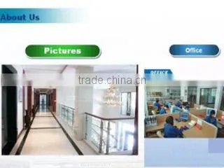 Ningbo Yinzhou Reginfield Imp. & Exp. Co., Ltd. company overview - view 2