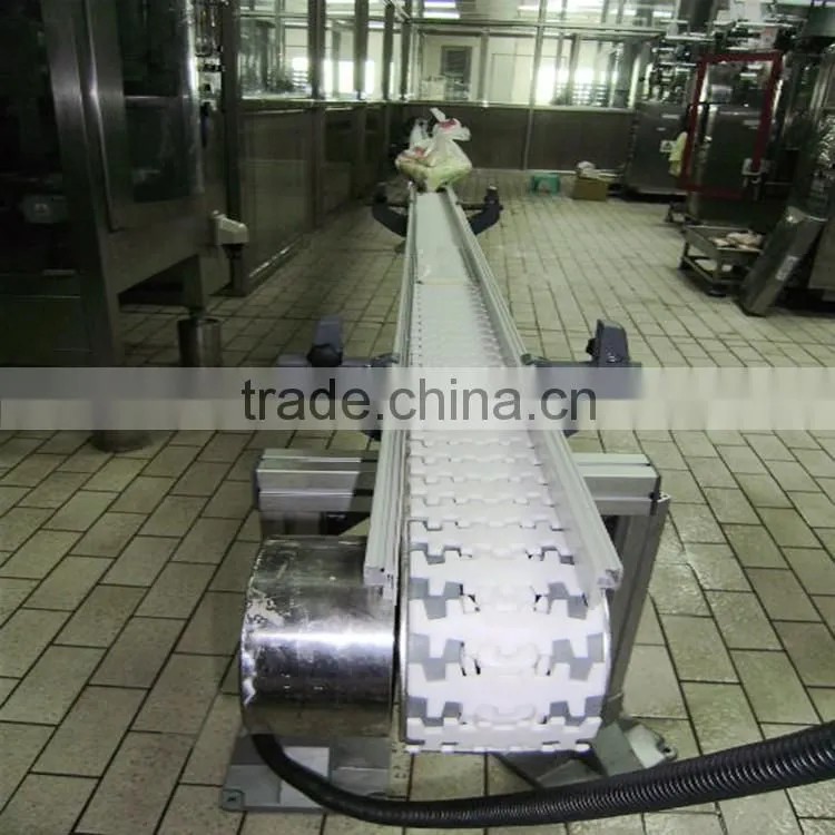 Auto parts flexlink conveyor system line