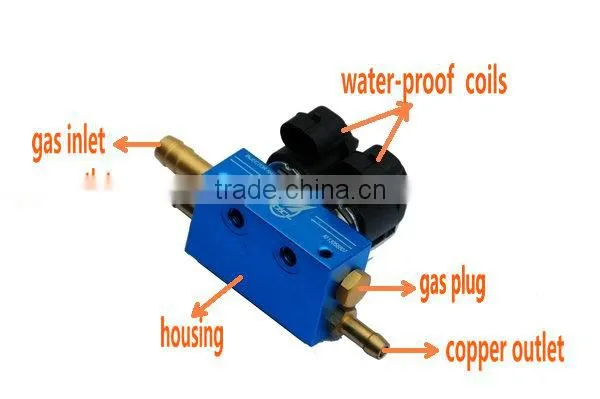CNG fuel injector rail / rail injectors for lpg cng