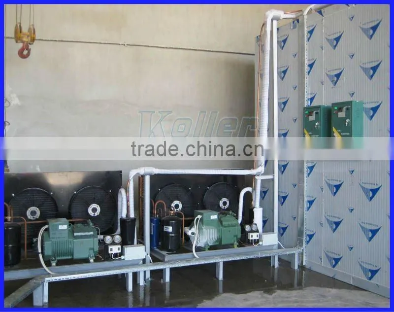 2016 New design 9 tons cold storage room with hinged door for seafood from Koller
