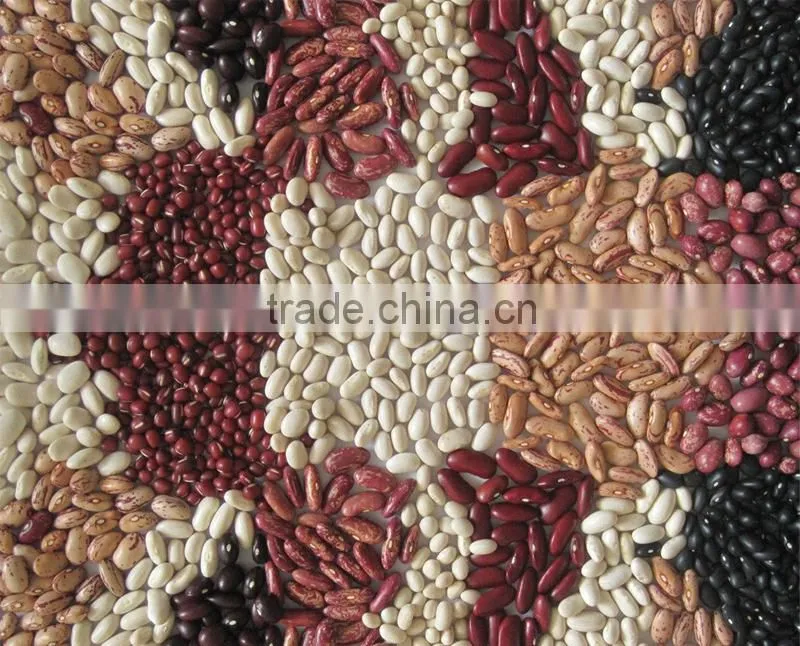 Chinese Wholesale White Kidney Beans In Stock