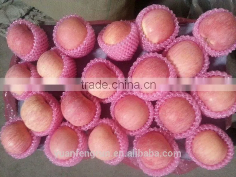 Hot sale chinese Fuji apple