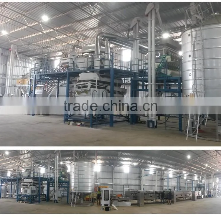 The Best Quality Maize Seed Processing Plant