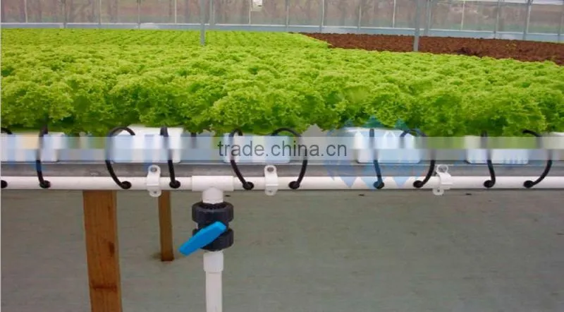 Agricultural NFT cultivation channel used greenhouse