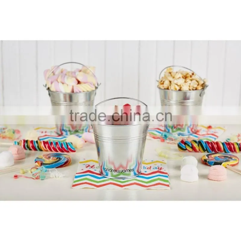 Mini Colorful Decorative Metal Bucket