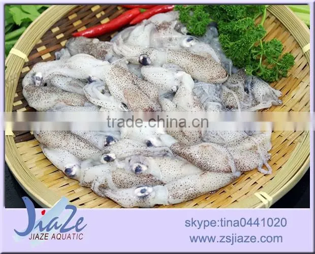 frozen baby squid BQF OR IQF