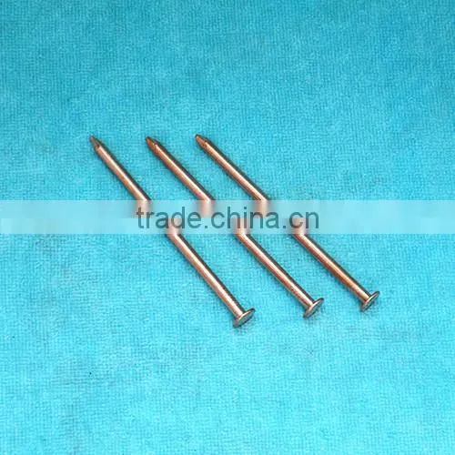 concrete brass nail