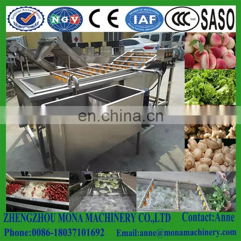 Fruits and Vegetables Washing machine, air and water bubble vegetable washing machine