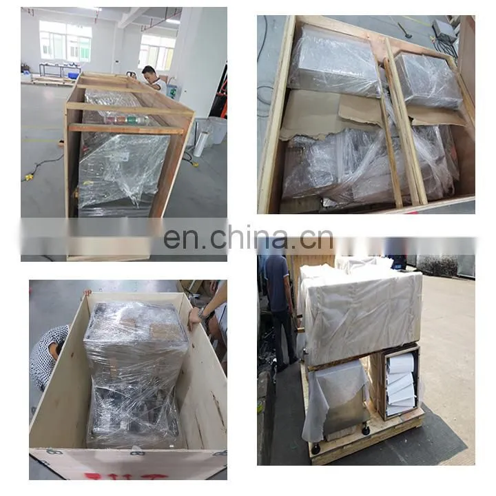 PLC Control and Screen Operation Plastic Bag Milk Pack Packing Machine