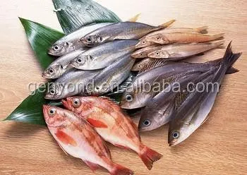 Fish Skin Scaler Machine/ Fish Scale Removing Machine/ Fish Descaler Machine