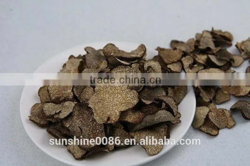 High Quality Black Truffle Mushrooms mushrooms