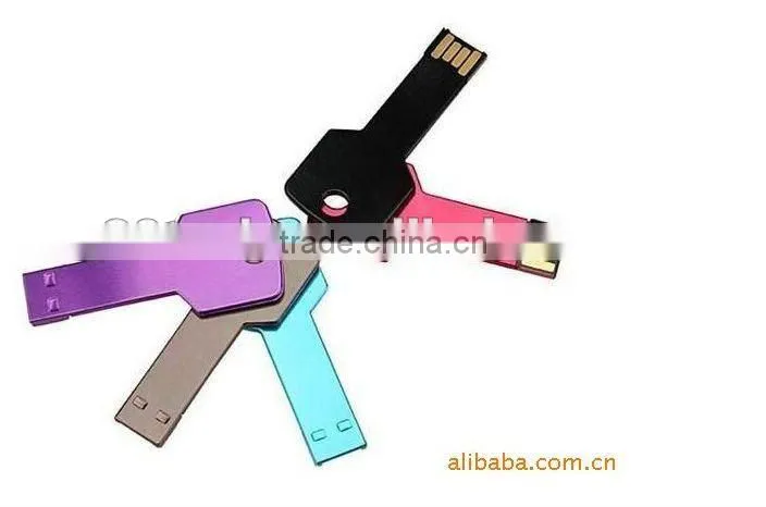 Custom Design Printing 2gb Metal Flat USB Key