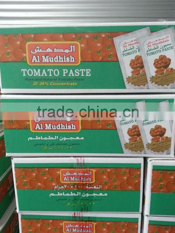 Al Mudhish standing pouch tomato paste