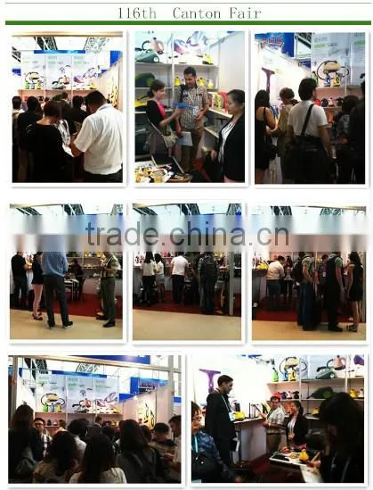 Multifunction Handheld Steam Cleaner with CB CE GS ROHS