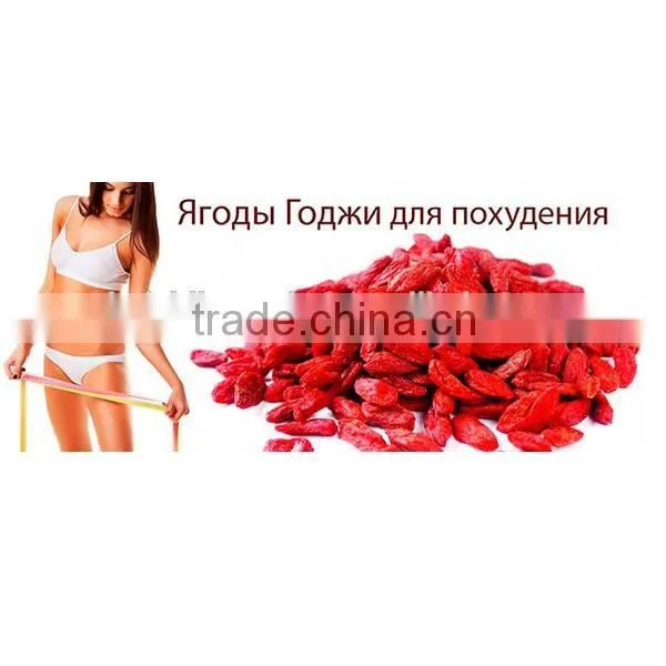 Ningxia Gouqi zi fruit,Yishaotang dried Goji berries nutrition Red medlar boxthorn lycium fruit