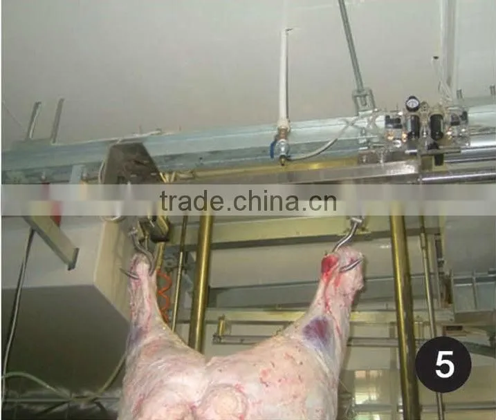 cow slaughter slaughter line for cattle cattle slaughter line