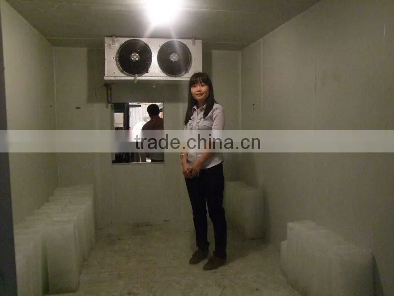 Full automatic ice block making machine for Africa