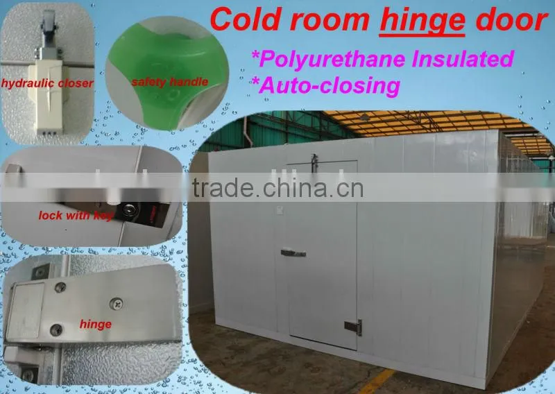 BASF polyurethane foaming door for cold room