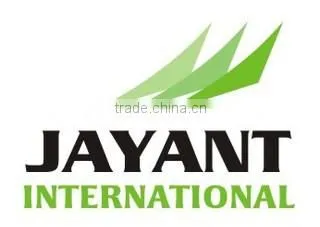 Jayant International company overview - view 1