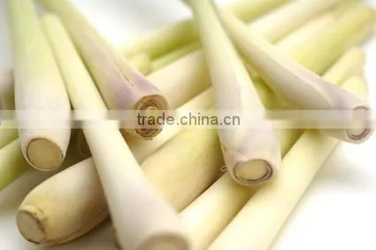 Pure Lemongrass Essential Oil From India
