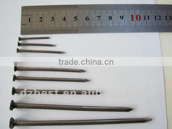 bright common iron nail with flat head