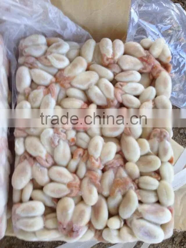 2015 fresh frozen cuttlefish roe BQF