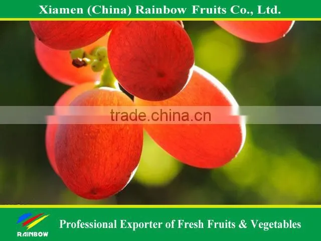 Fresh Chinese table grape red globe grape red grape to India asia market