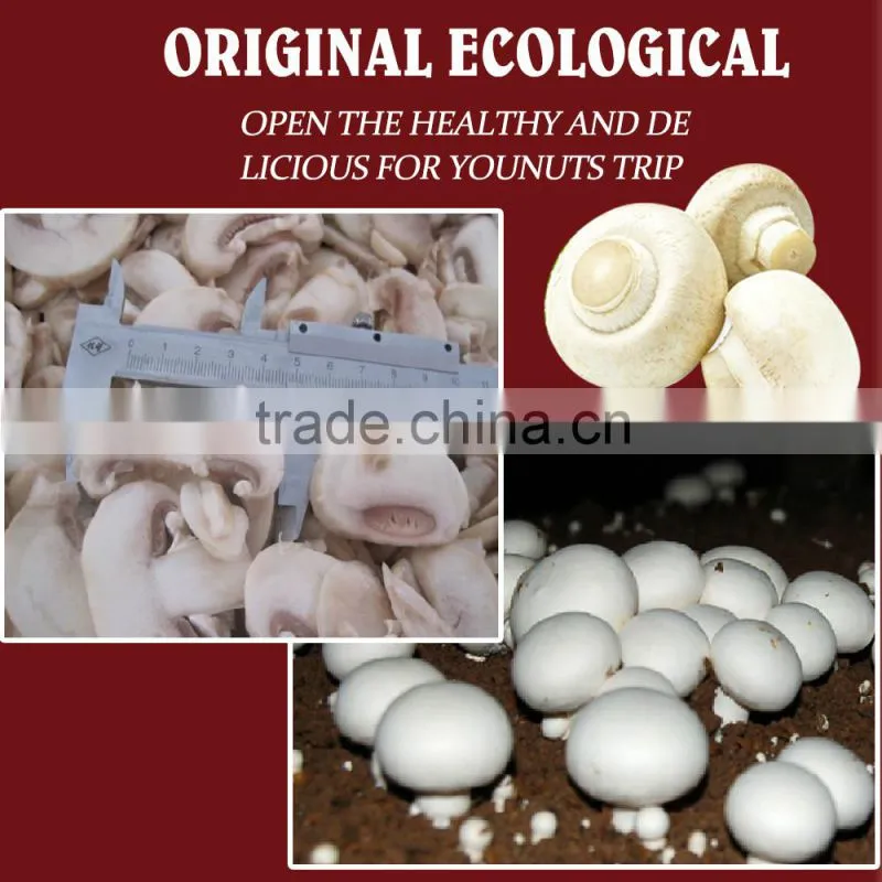 Frozen Agaricus bisporus IQF Agaricus bisporus