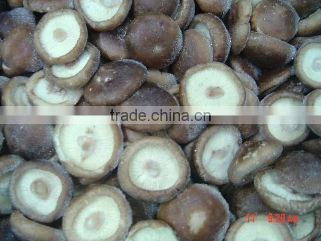 Whole & quarter iqf shiitake mushroom greenhouse