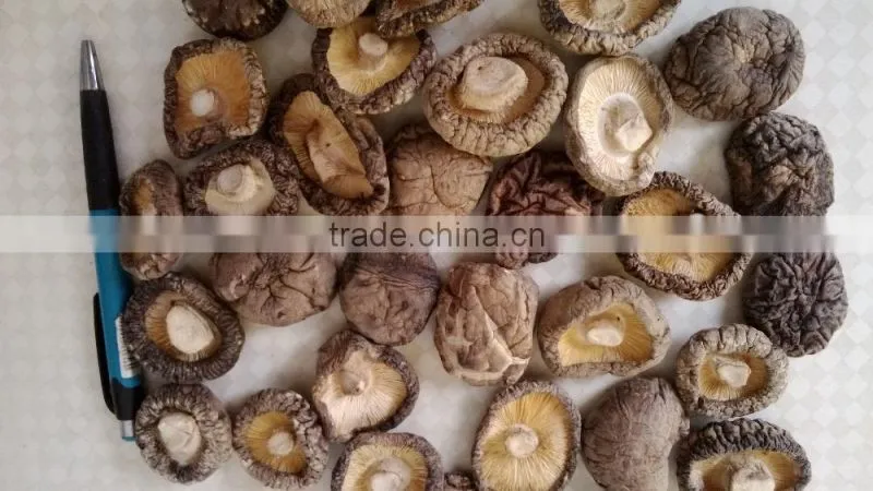 dried shiitake price mushroom 3-4 dried mushroom price
