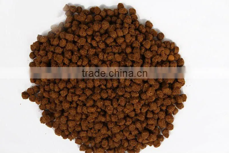 dry dog and cat foods