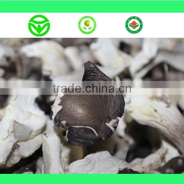High Quality Dry Mushroom
