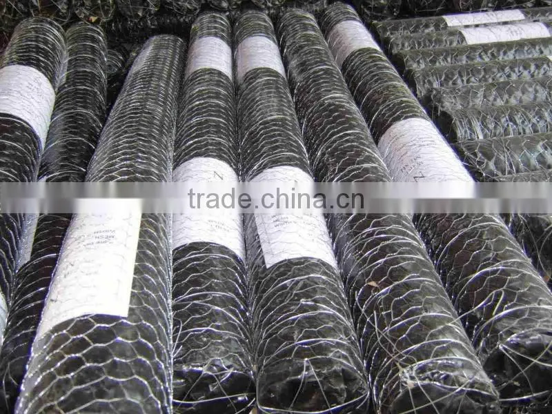 Galvanized /PVC coated hexagonal wire mesh,Gabion box