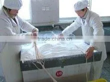 Tianchang Tiantai Casing Food Co., Ltd. company overview - view 3