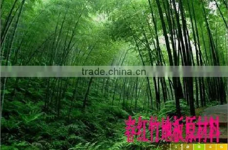 Carbonized Strand woven bamboo flooring