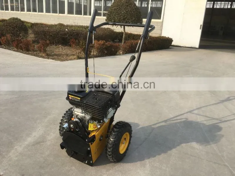 196cc 22" Width Professional Replaceable Snow Thrower/600mm width Handy sweeper