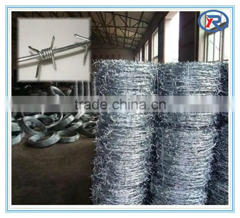 China factory cheap barb wire fence.galvanized barbed wire fencing
