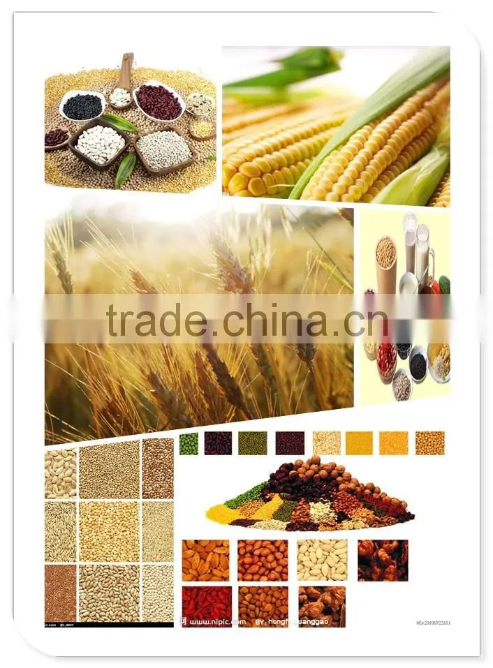 China high efficience mobile cycle winnowing cleaning sieve for selling well