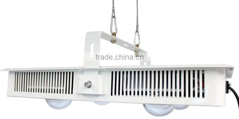 Cob Led grow lights 600 W indoor light to grow plants