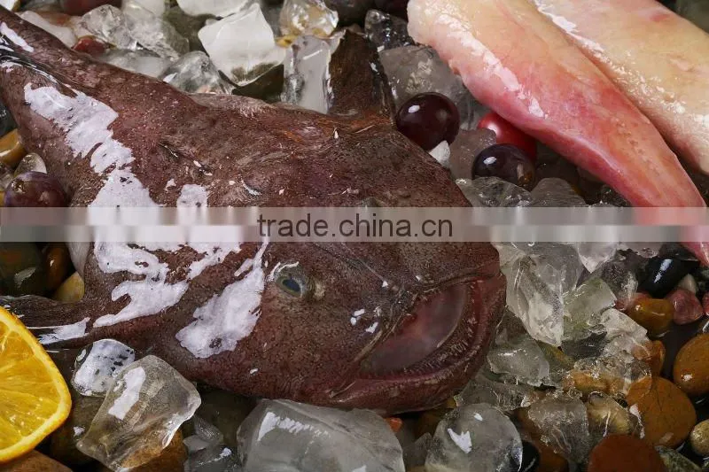 frozen fresh monkfish