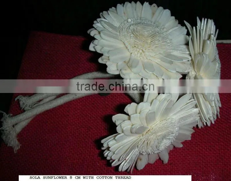 Sola Wood Flower