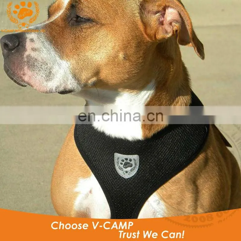 My pet air mesh harness for your little puppy