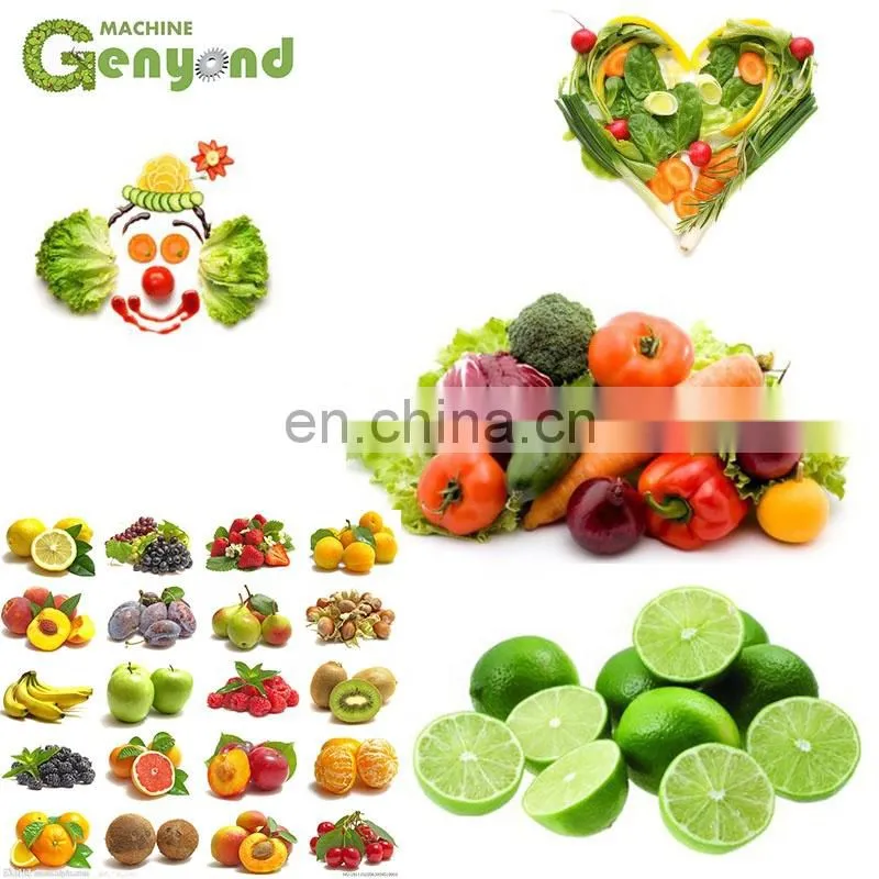 Orange juicer processing line apple juice sterilizing machine