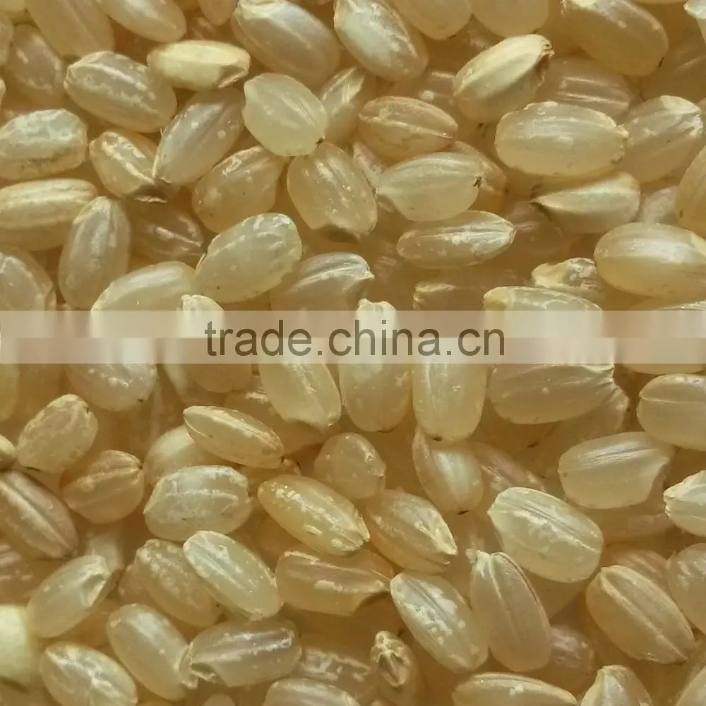 Organic brown rice