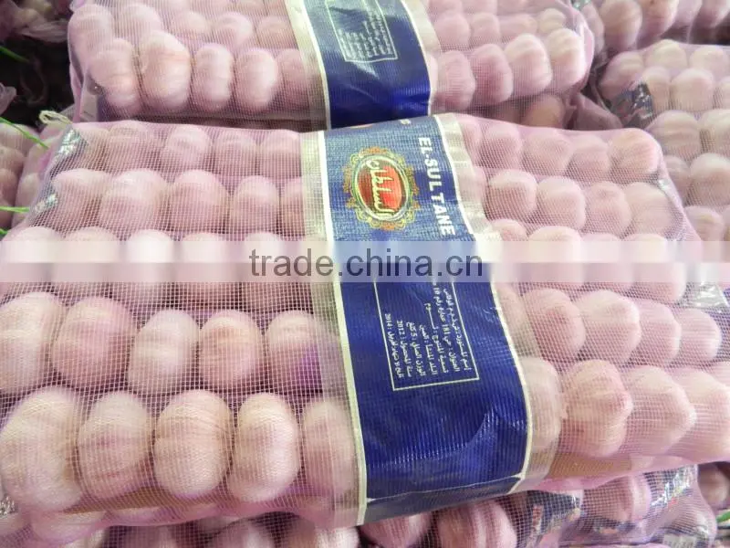 wholesale fresh garlic China garlic price
