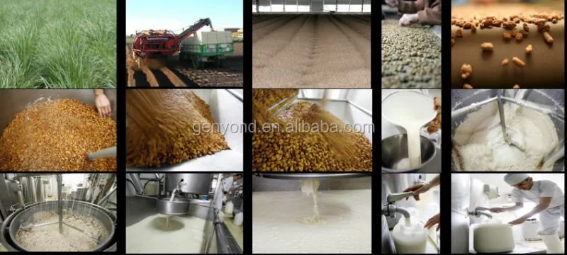 Commercial tiger Nuts Drinks Processing Line / tiger Nuts Milk Making Machine