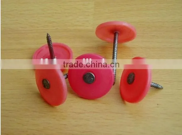 External wall insulation anchor /fixing anchor with colorful cap