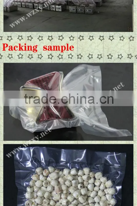 Table top vauum packing machine seal