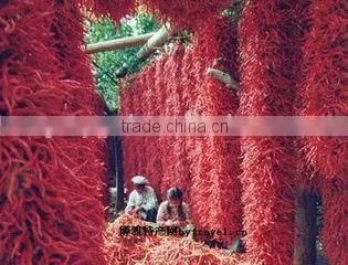 Red Chilli Powder Micorwave Drying Machine